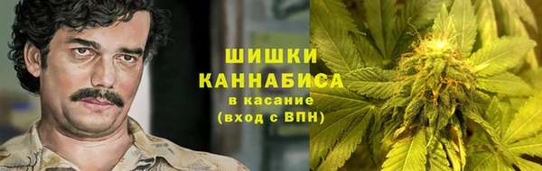 соль ск Алзамай