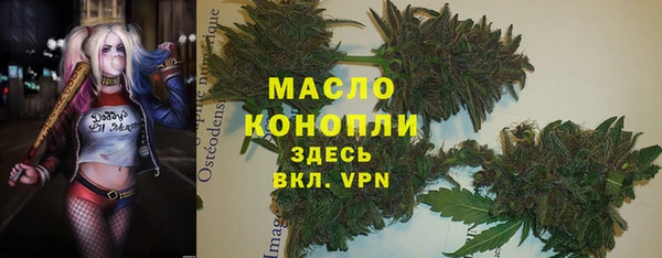 соль ск Алзамай