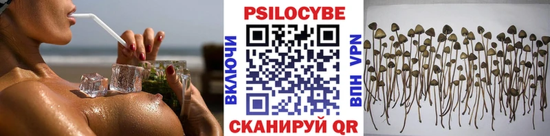 купить наркотики сайты  Бирюч  площадка Telegram  Псилоцибиновые грибы Magic Shrooms 