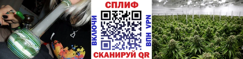 магазин продажи наркотиков  Бирюч  Бошки Шишки гибрид 